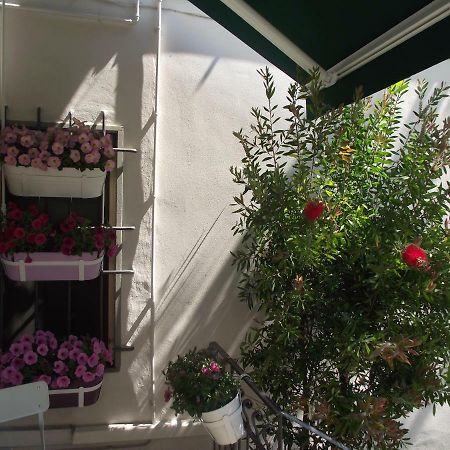 Appartamento La Casina بستويا المظهر الخارجي الصورة